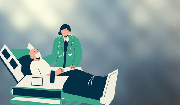 Which End of Sugarca